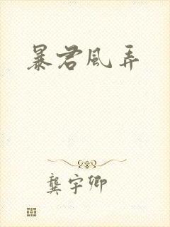暴君风弄封面
