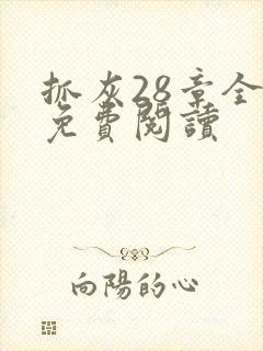 抓灰28章全部免费阅读