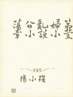 荡公乱妇第51章小说小莹封面