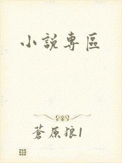 小说专区