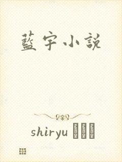 蓝宇小说