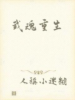 武魂重生封面
