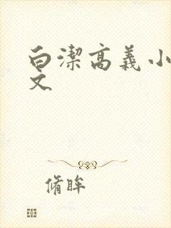 白洁高义小说全文
