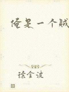 俺是一个贼