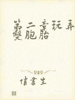 第二章玩弄校花双胞胎封面
