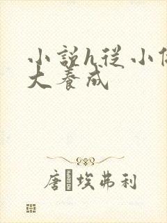 小说h从小做到大养成