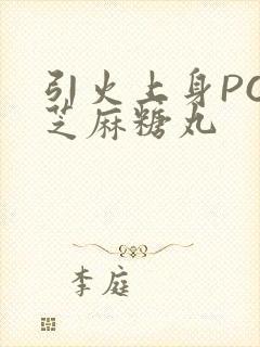 引火上身POP芝麻糖丸