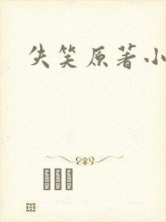 失笑原著小说封面