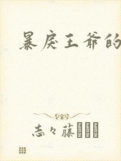 暴戾王爷的贱妾封面