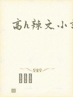 高h辣文小说