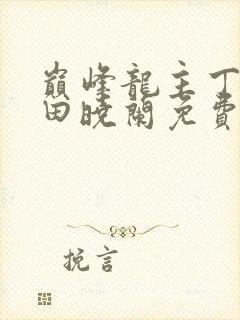 巅峰龙主丁长顺田晓兰免费阅读封面
