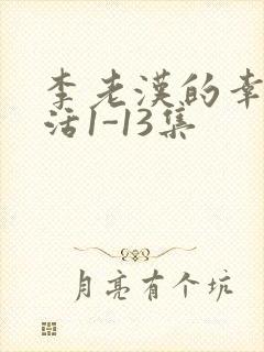 李老汉的幸福生活1-13集封面
