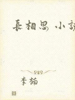 长相思 小说