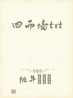 四面墙txt