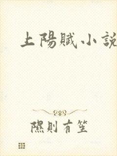 上阳赋小说