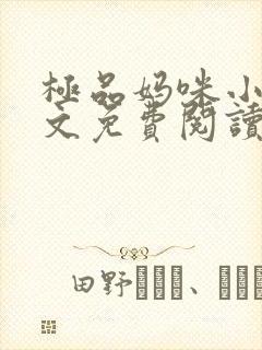 极品妈咪小说全文免费阅读