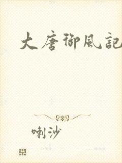 大唐御风记封面