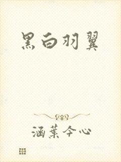 黑白羽翼