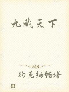 九藏天下封面