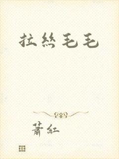 拉丝毛毛