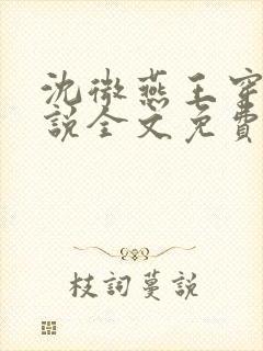沈微燕王穿越小说全文免费阅读