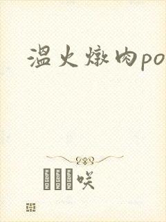 温火炖肉pop