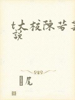 t大校陈若芸小说
