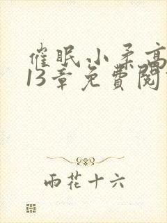 催眠小柔高达第13章免费阅读