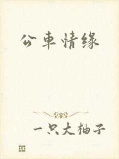 公车情缘