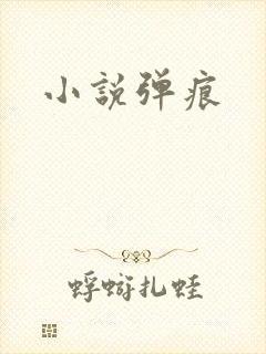 小说弹痕