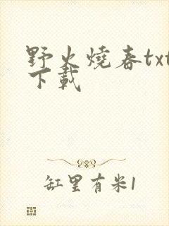 野火烧春txt下载