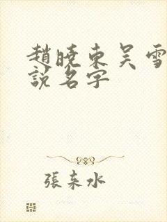赵晓东吴雪晴小说名字