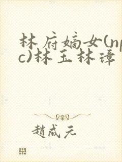 林府嫡女(npc)林玉林璋
