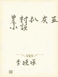 农村扒灰五十篇小说封面