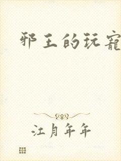 邪王的玩宠