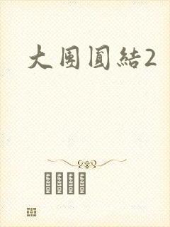 大团圆结2封面