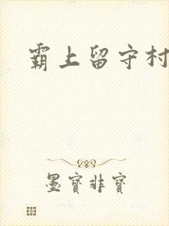 霸上留守村妇封面
