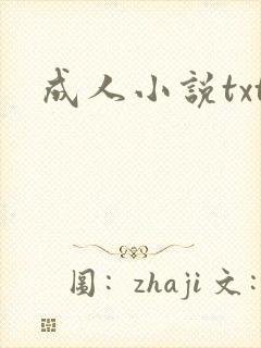 成人小说txt