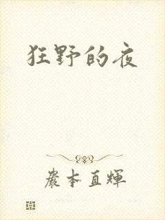 狂野的夜封面