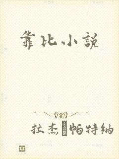 靠比小说