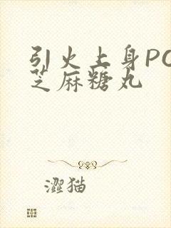 引火上身POP芝麻糖丸