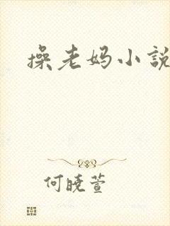 操老妈小说