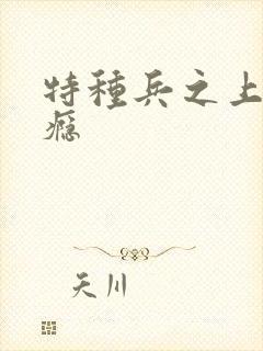 特种兵之上你成瘾封面