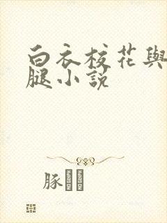 白衣校花与大长腿小说