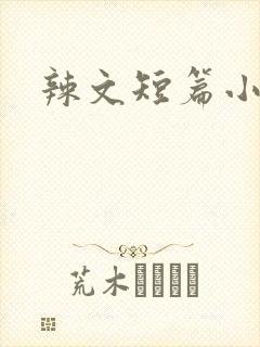 辣文短篇小说