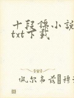 十段锦小说全本txt下载
