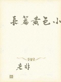 长篇黄色小说