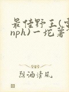 最佳野王(电竞nph)一坨薯饼封面