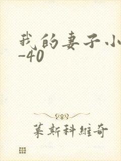我的妻子小谨1-40