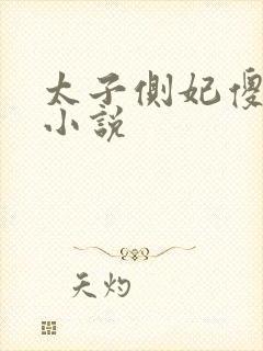 太子侧妃傻乎乎小说